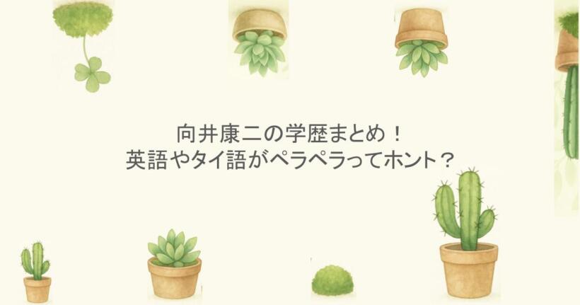 向井康二の学歴まとめ！英語やタイ語がペラペラってホント？
