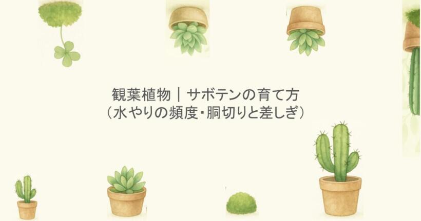 観葉植物｜サボテンの育て方（水やりの頻度・胴切りと差しぎ）