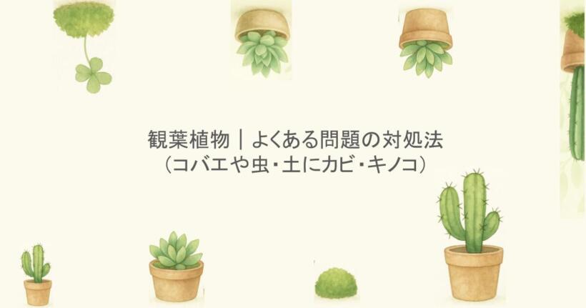 観葉植物｜よくある問題の対処法（コバエや虫・土にカビ・キノコ）