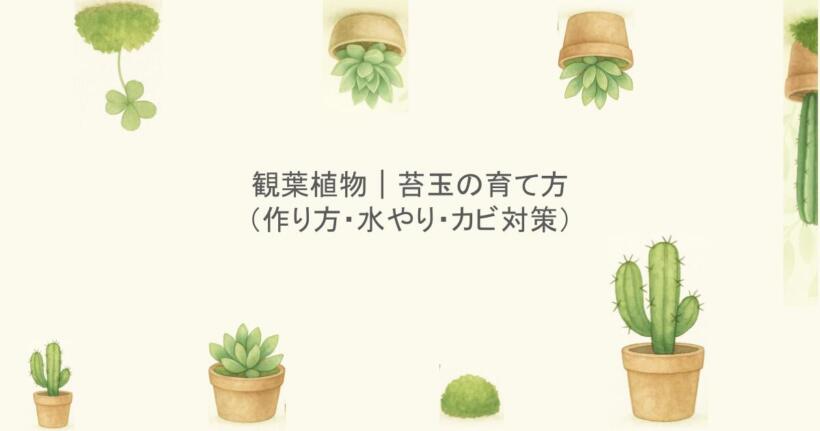 観葉植物｜苔玉の育て方（作り方・水やり・カビ対策）