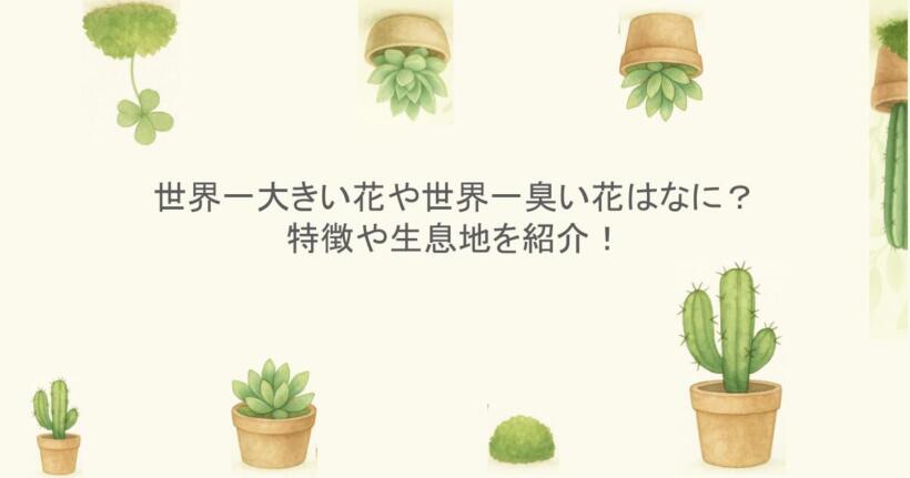 世界一大きい花や世界一臭い花はなに？特徴や生息地を紹介！